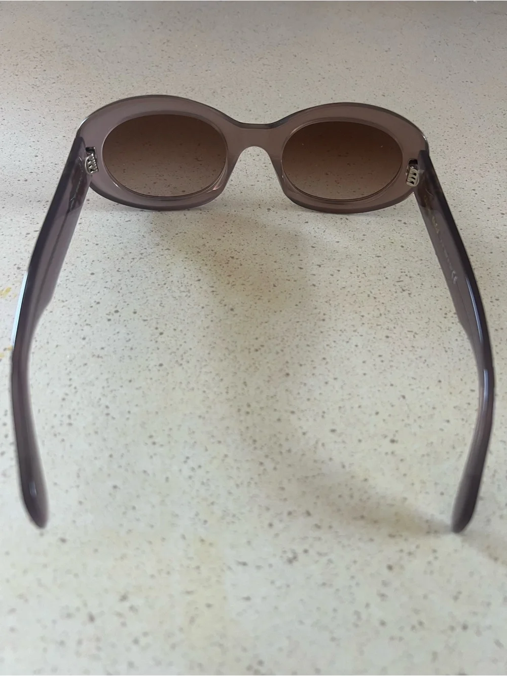 Celine Women's Oval Sunglasses in Taupe Brown